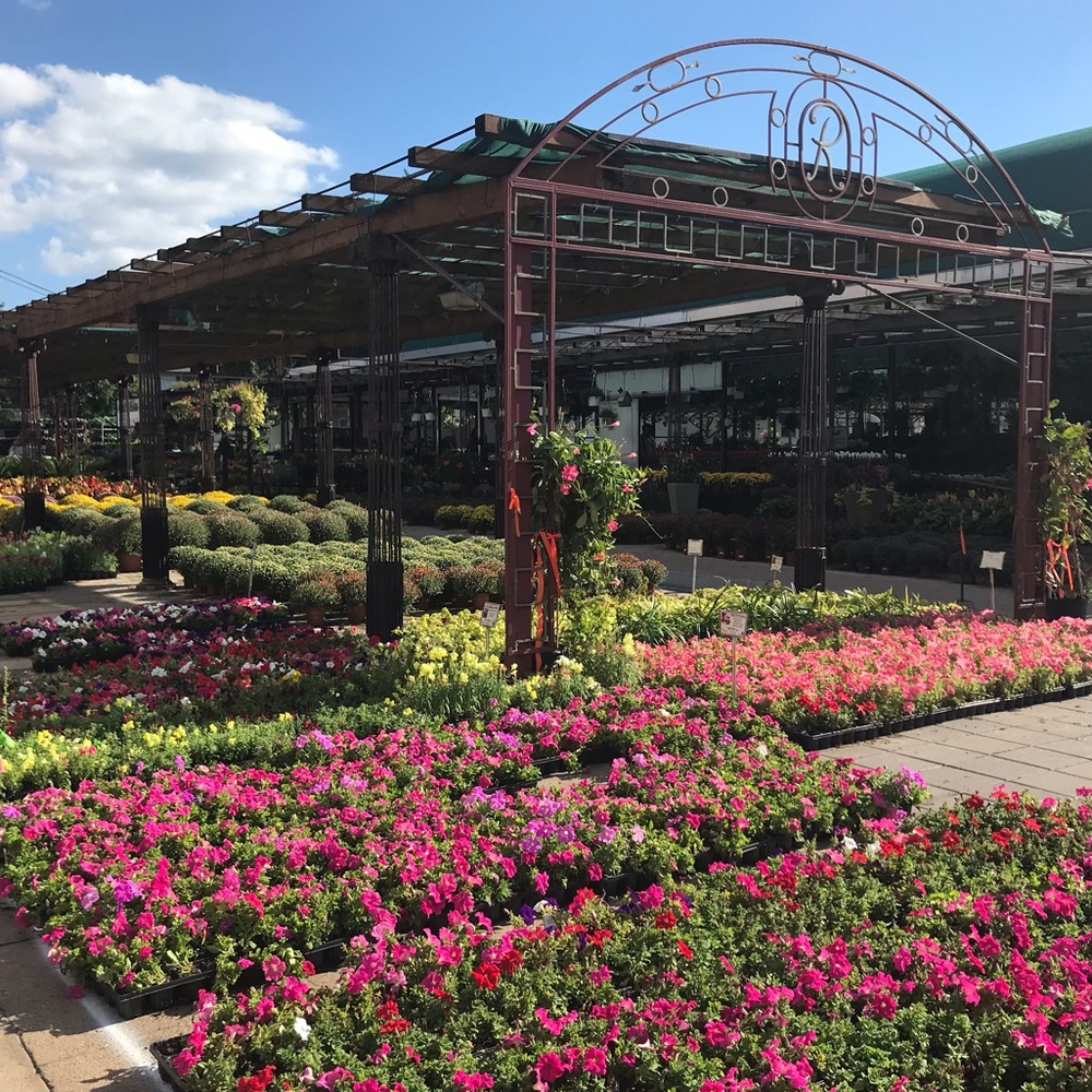 Meet your Posher, Regina